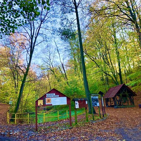 Las Slupski Premium Apartament Nr6 Wifi Netflix Smart Tv50 Two Bedrooms Two Extra Large Double Beds Up To 6 People Full Pleasure Quality Stay (Adults Only) Eksteriør billede